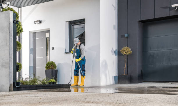 Best Solar Panel Cleaning  in Mill Valley, CA